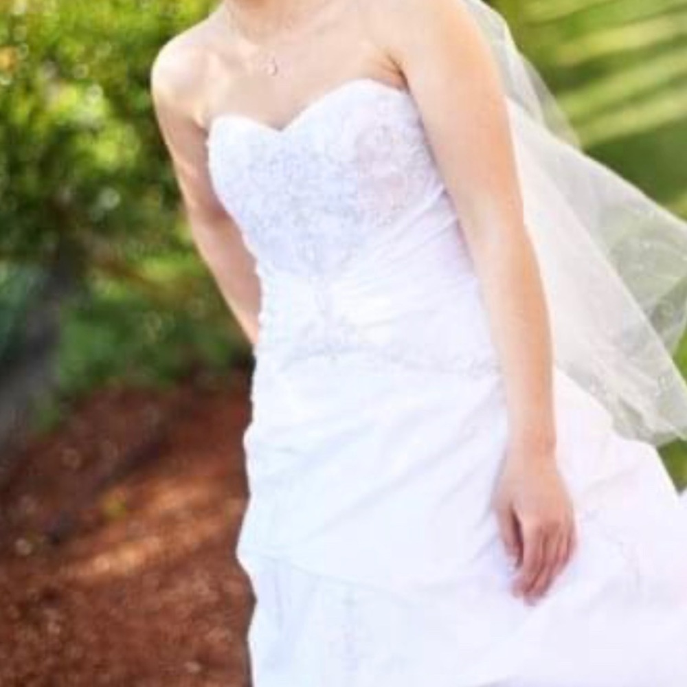 David’s Bridal gown